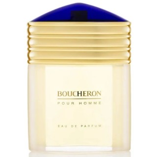 Boucheron Homme Eau De Perfume Spray 100ml - man - Teknashop Ltd