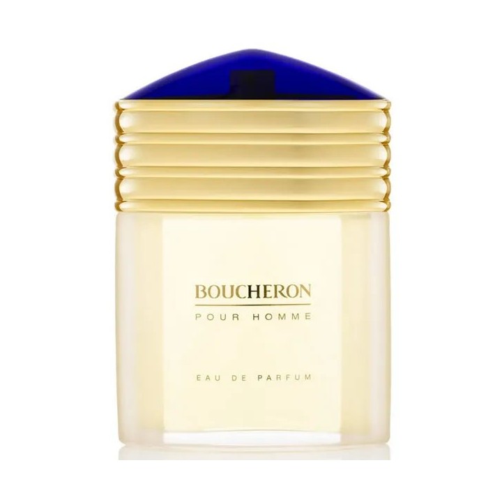 Boucheron Homme Eau De Perfume Spray 100ml - man - Teknashop Ltd