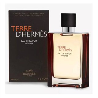 Hermès Hermes Paris Terre D'hermes Eau De Parfum Intense Rechargable 100ml Spray - unisex - Teknashop Ltd