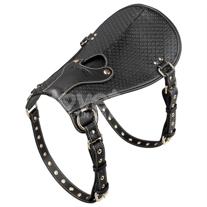 Rebellion Reign Dildo Saddle - LO-LV761214 - Teknashop Ltd