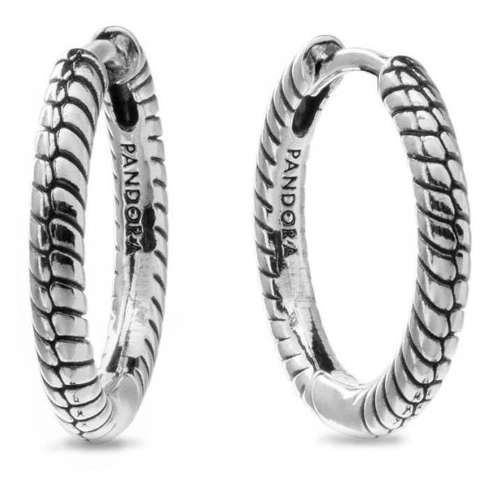 PANDORA Mod. MOMENTS SMALL CHARM HOOP EARRINGS - WW.292728C00 - Teknashop Ltd