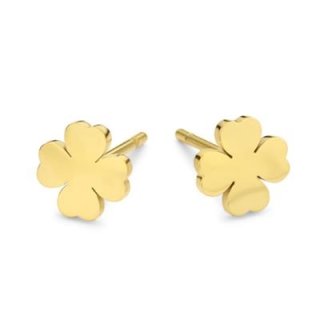 CO88 COLLECTION Mod. 8CE-70334 - WW.8CE-70334 - Teknashop Ltd