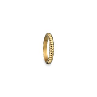 AN JEWELS JEWELRY Mod. AR.R1NS03Y-8 - WW.AR-R1NS03Y-8 - Teknashop Ltd