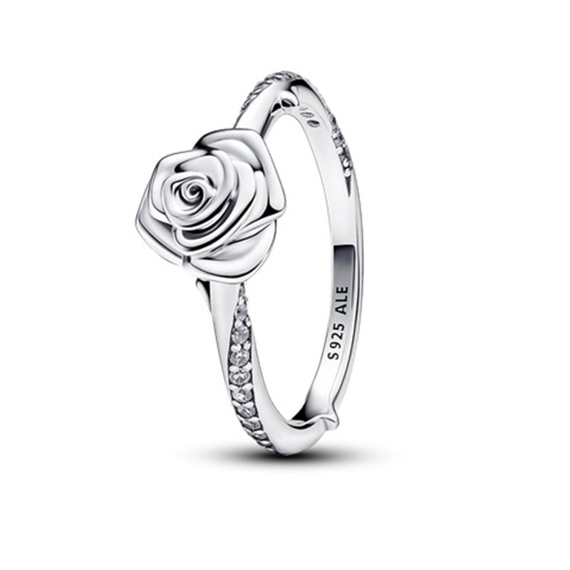 PANDORA JEWELRY Mod. 193215C01-54