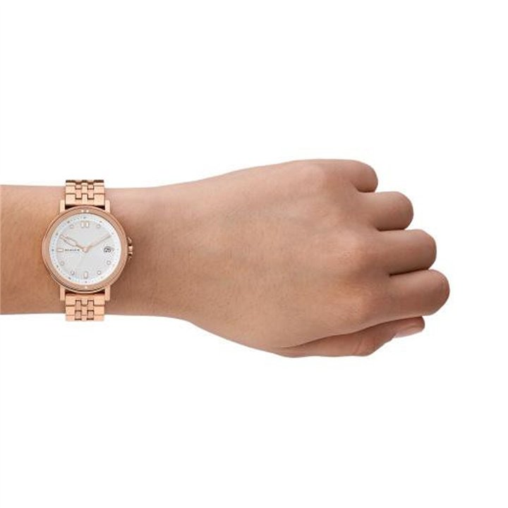 SKAGEN Mod. SIGNATUR LILLE - WW.SKW3136 - Teknashop Ltd