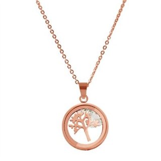 CO88 COLLECTION Mod. 8CN-26013 - WW.8CN-26013 - Teknashop Ltd