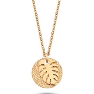 CO88 COLLECTION Mod. 8CN-26126 - WW.8CN-26126 - Teknashop Ltd