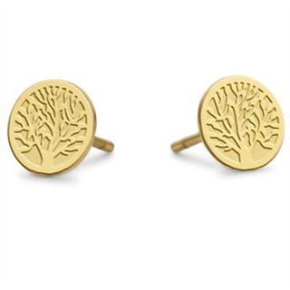 CO88 COLLECTION Mod. 8CE-70144 - WW.8CE-70144 - Teknashop Ltd