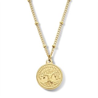 CO88 COLLECTION Mod. 8CN-26219 - WW.8CN-26219 - Teknashop Ltd