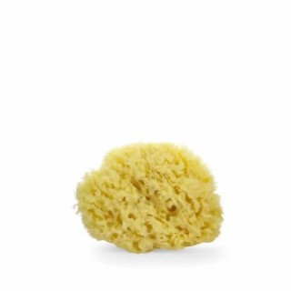 Lua & Lee Sponge 1 Unit - unisex - Teknashop Ltd