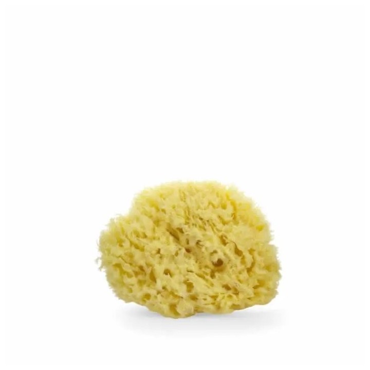 Lua & Lee Sponge 1 Unit - unisex - Teknashop Ltd