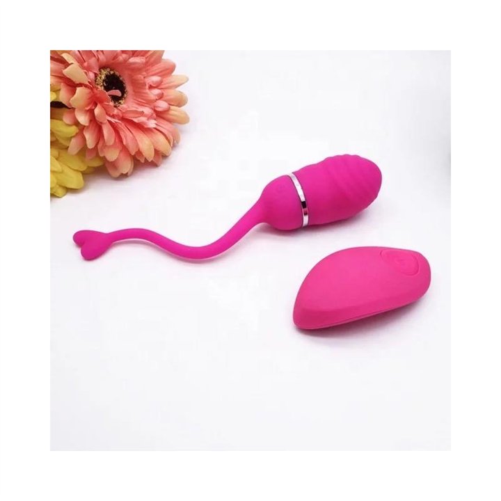 Vibrating Egg with Remote Control Odise USB Silicone Pink - IN-026 - Teknashop Ltd