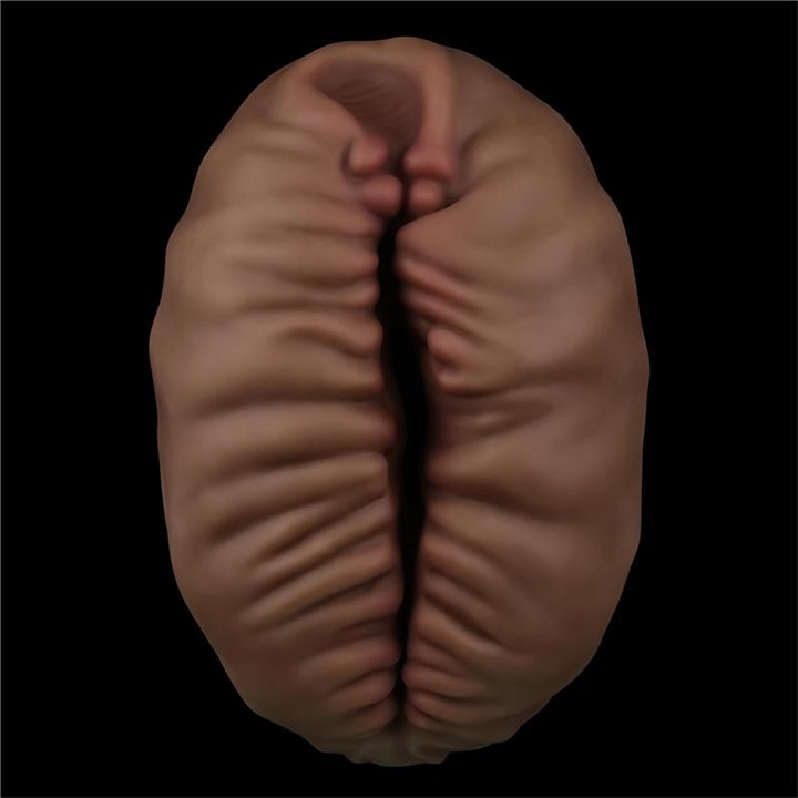 Masturbator Aliens Pie 2 - LO-LV351032 - Teknashop Ltd