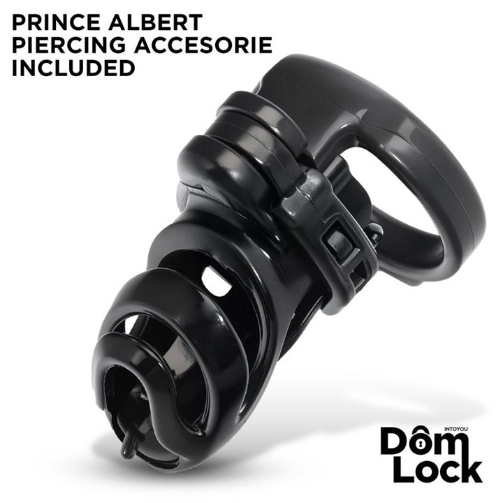 Detention Chastity Cage with Accessory for Prince Albert - DL-095 - Teknashop Ltd