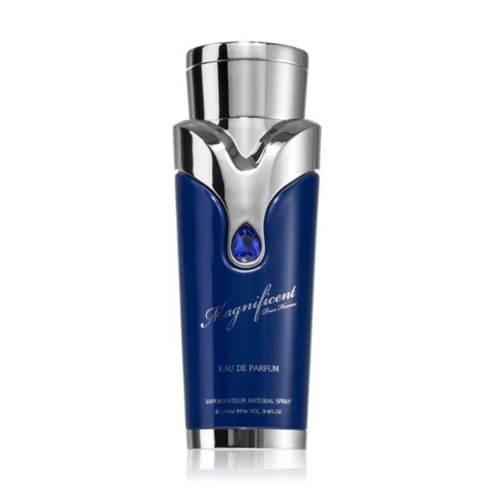 Armaf Magnificent Pour Homme Eau De Parfum 100ml Spray - unisex - Teknashop Ltd