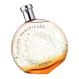Hermes Eau Des Merveilles Eau De Toilette Spray 100ml - woman - Teknashop Ltd