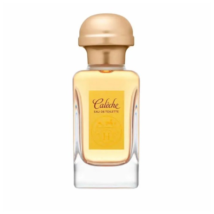 Hermès Calèche Eau De Toilette Spray 100ml - unisex - Teknashop Ltd