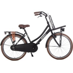 Sturdy 24 Inch 43 cm Girls Coaster Brake Matte black