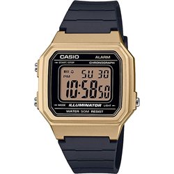 CASIO ILLUMINATOR