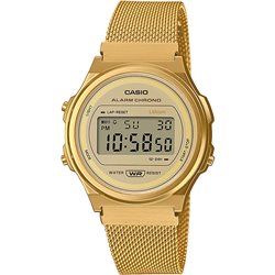 CASIO VINTAGE ROUND