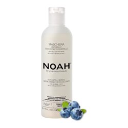 NOAH ARANDANOS ANTI-AMARILLO MASCARILLA CAPILAR 250ML;MUJER