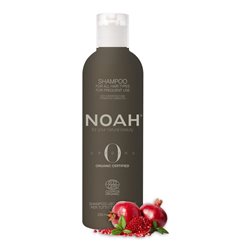 NOAH ORIGINAL ORGANIC CHAMPU 250MLMUJER