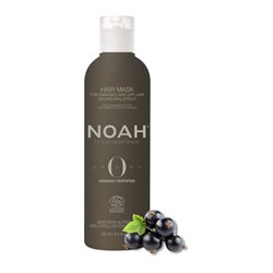 NOAH ORIGINAL ORGANIC MASCARILLA HIDRATANTE 250ML;MUJER