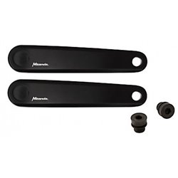 crankset e-bike DeltaBosch 170 mm black