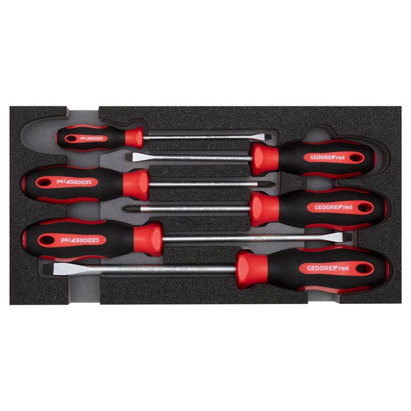 screwdriver set Phillips (PH) + slotted 6-piece in module