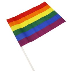 Pennant Medium LGBT+ Colors