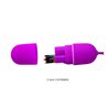 Vibrating Egg Arvin Purple