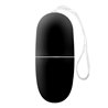 Ecoblack Vibrating Egg with Remote Control