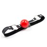 Ball Gag Black/Red