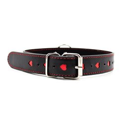 Collar with Metal Leash Black/Red