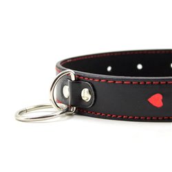 Collar with Metal Leash Black/Red