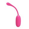 Kirk Vibrating Egg with Movil APP Silicone USB