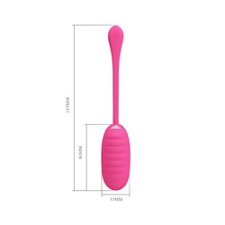 Kirk Vibrating Egg with Movil APP Silicone USB