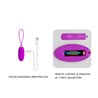 Vibrating Egg Joanna USB Purple