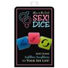 Glow in the Dark SEX Dice (EN ES DE FR)