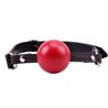 Red Ball Gag