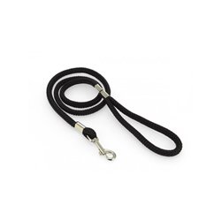 Leash, nylon