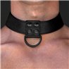 Collar with Leash Black Matt