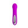 Pretty Love Mini Massager Reuben Purple