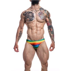 C4M01 Low Rise Bikini Brief Rainbow