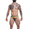 C4M01 Low Rise Bikini Brief Rainbow