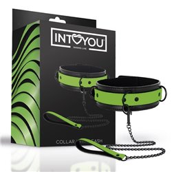 Glow in the Dark Collar with Leash