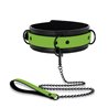 Glow in the Dark Collar with Leash