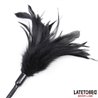 Multi Feathers Tickler and Lace Ribbon Paddle Comb