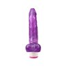 Multi-Speed Vibe Realistic Purple 20 cm