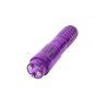 Mini Massager 3 Heads Purple